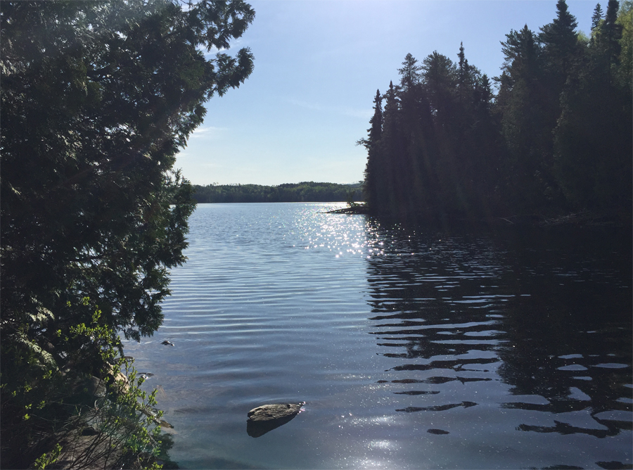 Town Lake 1