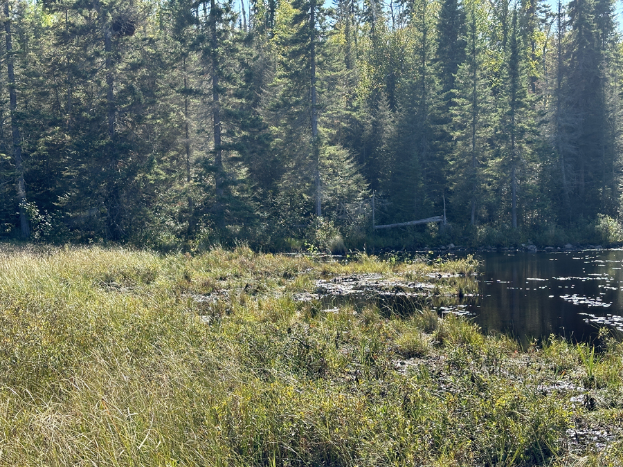 West Pipe Lake 6