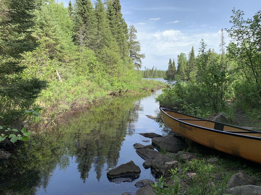 Homer Lake to Whack Lake Portage 4