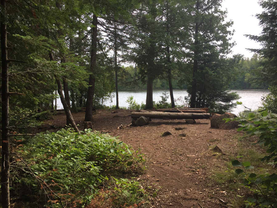 Whale Lake Campsite 1