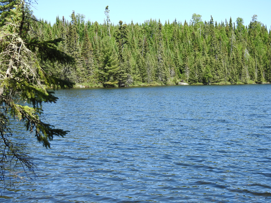 Mavis Lake 5