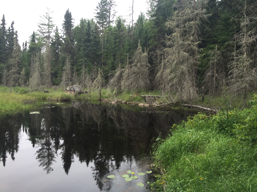 Sora Lake 7